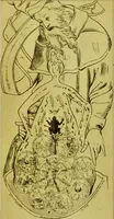 Picture 1 of 4 from Account of an alchemical roll on parchment, presented by the Earl of Cromarty in 1707 to the Royal College of Physicians of Edinburgh / with notes by John Small, M.A. (1876), leaf 20