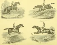 An illustration from Modern practical farriery : a complete guide to all that relates to the horse; its history, varieties, and uses, breaking, training, feeding, stabling, and grooming, how to buy, keep and treat a horse in health and disease ... forming a complete system of the veterinary art, as a present practised at the Royal Veterinary College, London / by W.J. Miles ... with numerous illustrations and a series of anatomical plates, engraved from the original drawings from nature, by Benjamin Herring. To which is added an essay on the diseases and management of cattle, sheep, and pigs / by J.I. Lupton. (1885)