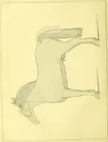 An illustration from Modern practical farriery : a complete guide to all that relates to the horse; its history, varieties, and uses, breaking, training, feeding, stabling, and grooming, how to buy, keep and treat a horse in health and disease ... forming a complete system of the veterinary art, as a present practised at the Royal Veterinary College, London / by W.J. Miles ... with numerous illustrations and a series of anatomical plates, engraved from the original drawings from nature, by Benjamin Herring. To which is added an essay on the diseases and management of cattle, sheep, and pigs / by J.I. Lupton. (1885)