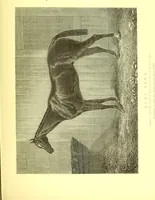 An illustration from Modern practical farriery : a complete guide to all that relates to the horse; its history, varieties, and uses, breaking, training, feeding, stabling, and grooming, how to buy, keep and treat a horse in health and disease ... forming a complete system of the veterinary art, as a present practised at the Royal Veterinary College, London / by W.J. Miles ... with numerous illustrations and a series of anatomical plates, engraved from the original drawings from nature, by Benjamin Herring. To which is added an essay on the diseases and management of cattle, sheep, and pigs / by J.I. Lupton. (1885)
