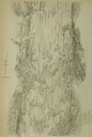 An illustration from A treatise on diseases of the skin with special reference to their diagnosis and treatment : including an analysis of 12,000 consecutive cases / Thomas McCall Anderson. (1894)