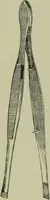An illustration from A treatise on diseases of the skin with special reference to their diagnosis and treatment : including an analysis of 12,000 consecutive cases / Thomas McCall Anderson. (1894)