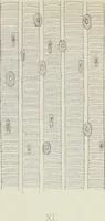 An illustration from Atlas of histology / by E. Klein and E. Noble Smith. (1880)
