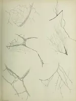 An illustration from Atlas of histology / by E. Klein and E. Noble Smith. (1880)