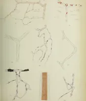 An illustration from Atlas of histology / by E. Klein and E. Noble Smith. (1880)