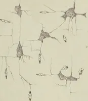 An illustration from Atlas of histology / by E. Klein and E. Noble Smith. (1880)
