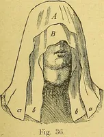 An illustration from La nuova medicina natural : trattato d'insegnamento e di consultazione sul metodo di curare e di guarire le malattie seguendo le leggi di natura / di F.E. Bilz. (1895)