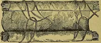 An illustration from La nuova medicina natural : trattato d'insegnamento e di consultazione sul metodo di curare e di guarire le malattie seguendo le leggi di natura / di F.E. Bilz. (1895)