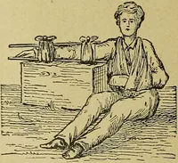 An illustration from La nuova medicina natural : trattato d'insegnamento e di consultazione sul metodo di curare e di guarire le malattie seguendo le leggi di natura / di F.E. Bilz. (1895)