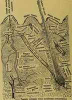 An illustration from La nuova medicina natural : trattato d'insegnamento e di consultazione sul metodo di curare e di guarire le malattie seguendo le leggi di natura / di F.E. Bilz. (1895)