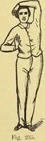 An illustration from La nuova medicina natural : trattato d'insegnamento e di consultazione sul metodo di curare e di guarire le malattie seguendo le leggi di natura / di F.E. Bilz. (1895)