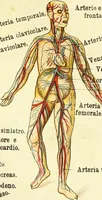 An illustration from La nuova medicina natural : trattato d'insegnamento e di consultazione sul metodo di curare e di guarire le malattie seguendo le leggi di natura / di F.E. Bilz. (1895)