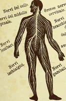 An illustration from La nuova medicina natural : trattato d'insegnamento e di consultazione sul metodo di curare e di guarire le malattie seguendo le leggi di natura / di F.E. Bilz. (1895)