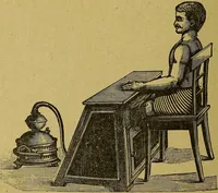 An illustration from La nuova medicina natural : trattato d'insegnamento e di consultazione sul metodo di curare e di guarire le malattie seguendo le leggi di natura / di F.E. Bilz. (1895)