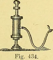 An illustration from La nuova medicina natural : trattato d'insegnamento e di consultazione sul metodo di curare e di guarire le malattie seguendo le leggi di natura / di F.E. Bilz. (1895)