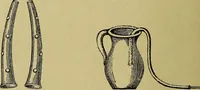 An illustration from La nuova medicina natural : trattato d'insegnamento e di consultazione sul metodo di curare e di guarire le malattie seguendo le leggi di natura / di F.E. Bilz. (1895)