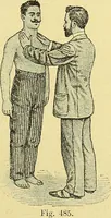 An illustration from La nuova medicina natural : trattato d'insegnamento e di consultazione sul metodo di curare e di guarire le malattie seguendo le leggi di natura / di F.E. Bilz. (1895)