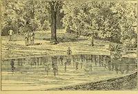 An illustration from La nuova medicina natural : trattato d'insegnamento e di consultazione sul metodo di curare e di guarire le malattie seguendo le leggi di natura / di F.E. Bilz. (1895)