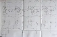 Picture 3 of 12 from Dissertation physique de Mr. Pierre Camper, sur les différences réelles que présentent les traits du visage chez les hommes de différents pays et de différents âges, sur le beau qui caractèrise les statues antiques et les pierres gravées : suivie de la proposition d'une nouvelle méthode pour déssiner toutes sortes de têtes humaines avec la plus grande sûreté / publiée après le décès de l'auteur par son fils Adrien Gilles Camper ; traduite du hollandois par Denis Bernard Quatremere d'Isjonval. (1791), leaf 133