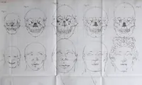 An illustration from Dissertation physique de Mr. Pierre Camper, sur les différences réelles que présentent les traits du visage chez les hommes de différents pays et de différents âges, sur le beau qui caractèrise les statues antiques et les pierres gravées : suivie de la proposition d'une nouvelle méthode pour déssiner toutes sortes de têtes humaines avec la plus grande sûreté / publiée après le décès de l'auteur par son fils Adrien Gilles Camper ; traduite du hollandois par Denis Bernard Quatremere d'Isjonval. (1791)