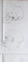 An illustration from Dissertation physique de Mr. Pierre Camper, sur les différences réelles que présentent les traits du visage chez les hommes de différents pays et de différents âges, sur le beau qui caractèrise les statues antiques et les pierres gravées : suivie de la proposition d'une nouvelle méthode pour déssiner toutes sortes de têtes humaines avec la plus grande sûreté / publiée après le décès de l'auteur par son fils Adrien Gilles Camper ; traduite du hollandois par Denis Bernard Quatremere d'Isjonval. (1791)