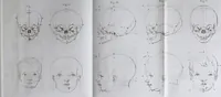 An illustration from Dissertation physique de Mr. Pierre Camper, sur les différences réelles que présentent les traits du visage chez les hommes de différents pays et de différents âges, sur le beau qui caractèrise les statues antiques et les pierres gravées : suivie de la proposition d'une nouvelle méthode pour déssiner toutes sortes de têtes humaines avec la plus grande sûreté / publiée après le décès de l'auteur par son fils Adrien Gilles Camper ; traduite du hollandois par Denis Bernard Quatremere d'Isjonval. (1791)