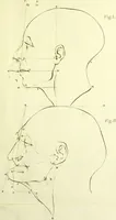 An illustration from Dissertation physique de Mr. Pierre Camper, sur les différences réelles que présentent les traits du visage chez les hommes de différents pays et de différents âges, sur le beau qui caractèrise les statues antiques et les pierres gravées : suivie de la proposition d'une nouvelle méthode pour déssiner toutes sortes de têtes humaines avec la plus grande sûreté / publiée après le décès de l'auteur par son fils Adrien Gilles Camper ; traduite du hollandois par Denis Bernard Quatremere d'Isjonval. (1791)
