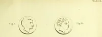 Picture 9 of 12 from Dissertation physique de Mr. Pierre Camper, sur les différences réelles que présentent les traits du visage chez les hommes de différents pays et de différents âges, sur le beau qui caractèrise les statues antiques et les pierres gravées : suivie de la proposition d'une nouvelle méthode pour déssiner toutes sortes de têtes humaines avec la plus grande sûreté / publiée après le décès de l'auteur par son fils Adrien Gilles Camper ; traduite du hollandois par Denis Bernard Quatremere d'Isjonval. (1791), leaf 147