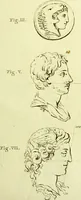 An illustration from Dissertation physique de Mr. Pierre Camper, sur les différences réelles que présentent les traits du visage chez les hommes de différents pays et de différents âges, sur le beau qui caractèrise les statues antiques et les pierres gravées : suivie de la proposition d'une nouvelle méthode pour déssiner toutes sortes de têtes humaines avec la plus grande sûreté / publiée après le décès de l'auteur par son fils Adrien Gilles Camper ; traduite du hollandois par Denis Bernard Quatremere d'Isjonval. (1791)