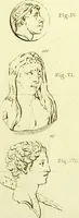 An illustration from Dissertation physique de Mr. Pierre Camper, sur les différences réelles que présentent les traits du visage chez les hommes de différents pays et de différents âges, sur le beau qui caractèrise les statues antiques et les pierres gravées : suivie de la proposition d'une nouvelle méthode pour déssiner toutes sortes de têtes humaines avec la plus grande sûreté / publiée après le décès de l'auteur par son fils Adrien Gilles Camper ; traduite du hollandois par Denis Bernard Quatremere d'Isjonval. (1791)