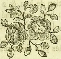 An illustration from Dissertation physique de Mr. Pierre Camper, sur les différences réelles que présentent les traits du visage chez les hommes de différents pays et de différents âges, sur le beau qui caractèrise les statues antiques et les pierres gravées : suivie de la proposition d'une nouvelle méthode pour déssiner toutes sortes de têtes humaines avec la plus grande sûreté / publiée après le décès de l'auteur par son fils Adrien Gilles Camper ; traduite du hollandois par Denis Bernard Quatremere d'Isjonval. (1791)