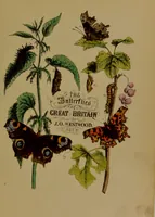 Picture 1 of 13 from The butterflies of Great Britain : with their transformations delineated and described / by J.O. Westwood. (1887), leaf 7