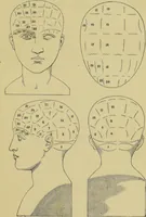Picture 1 of 29 from Phrenologische Bilder : zur Naturlehre des menschlichen Geistes und deren Anwendung auf Wissenschaft und Leben auch zur Verständigung zwischen Phrenologie und Anthropologie / von Gustav Scheve. (1874), leaf 29