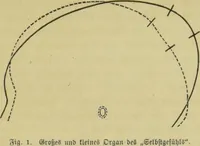 Picture 25 of 29 from Phrenologische Bilder : zur Naturlehre des menschlichen Geistes und deren Anwendung auf Wissenschaft und Leben auch zur Verständigung zwischen Phrenologie und Anthropologie / von Gustav Scheve. (1874), leaf 465