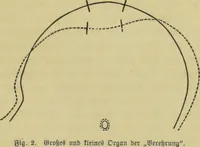 Picture 26 of 29 from Phrenologische Bilder : zur Naturlehre des menschlichen Geistes und deren Anwendung auf Wissenschaft und Leben auch zur Verständigung zwischen Phrenologie und Anthropologie / von Gustav Scheve. (1874), leaf 465