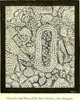 Picture 105 of 246 from Spectrum analysis in its application to terrestrial substances, and the physical constitution of the heavenly bodies / familiarly explained by H. Schellen ; translated from the second enlarged and revised German edition by Jane and Caroline Lassell ; edited with notes by William Huggins ; with numerous woodcuts and coloured plates, and Ångström's and Kirchhoff's maps. (1872), leaf 317