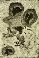 An illustration from Spectrum analysis in its application to terrestrial substances, and the physical constitution of the heavenly bodies / familiarly explained by H. Schellen ; translated from the second enlarged and revised German edition by Jane and Caroline Lassell ; edited with notes by William Huggins ; with numerous woodcuts and coloured plates, and Ångström's and Kirchhoff's maps. (1872)
