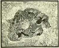 Picture 112 of 246 from Spectrum analysis in its application to terrestrial substances, and the physical constitution of the heavenly bodies / familiarly explained by H. Schellen ; translated from the second enlarged and revised German edition by Jane and Caroline Lassell ; edited with notes by William Huggins ; with numerous woodcuts and coloured plates, and Ångström's and Kirchhoff's maps. (1872), leaf 325