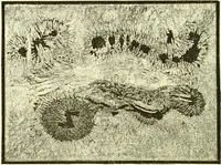 Picture 113 of 246 from Spectrum analysis in its application to terrestrial substances, and the physical constitution of the heavenly bodies / familiarly explained by H. Schellen ; translated from the second enlarged and revised German edition by Jane and Caroline Lassell ; edited with notes by William Huggins ; with numerous woodcuts and coloured plates, and Ångström's and Kirchhoff's maps. (1872), leaf 326
