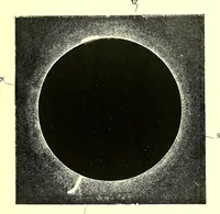 Picture 130 of 246 from Spectrum analysis in its application to terrestrial substances, and the physical constitution of the heavenly bodies / familiarly explained by H. Schellen ; translated from the second enlarged and revised German edition by Jane and Caroline Lassell ; edited with notes by William Huggins ; with numerous woodcuts and coloured plates, and Ångström's and Kirchhoff's maps. (1872), leaf 379