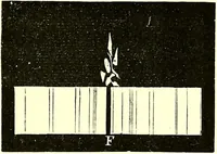 Picture 157 of 246 from Spectrum analysis in its application to terrestrial substances, and the physical constitution of the heavenly bodies / familiarly explained by H. Schellen ; translated from the second enlarged and revised German edition by Jane and Caroline Lassell ; edited with notes by William Huggins ; with numerous woodcuts and coloured plates, and Ångström's and Kirchhoff's maps. (1872), leaf 471