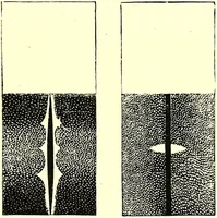 Picture 158 of 246 from Spectrum analysis in its application to terrestrial substances, and the physical constitution of the heavenly bodies / familiarly explained by H. Schellen ; translated from the second enlarged and revised German edition by Jane and Caroline Lassell ; edited with notes by William Huggins ; with numerous woodcuts and coloured plates, and Ångström's and Kirchhoff's maps. (1872), leaf 473