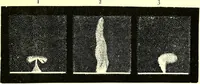 An illustration from Spectrum analysis in its application to terrestrial substances, and the physical constitution of the heavenly bodies / familiarly explained by H. Schellen ; translated from the second enlarged and revised German edition by Jane and Caroline Lassell ; edited with notes by William Huggins ; with numerous woodcuts and coloured plates, and Ångström's and Kirchhoff's maps. (1872)