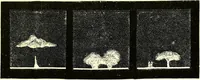 Picture 163 of 246 from Spectrum analysis in its application to terrestrial substances, and the physical constitution of the heavenly bodies / familiarly explained by H. Schellen ; translated from the second enlarged and revised German edition by Jane and Caroline Lassell ; edited with notes by William Huggins ; with numerous woodcuts and coloured plates, and Ångström's and Kirchhoff's maps. (1872), leaf 493