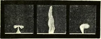 Picture 164 of 246 from Spectrum analysis in its application to terrestrial substances, and the physical constitution of the heavenly bodies / familiarly explained by H. Schellen ; translated from the second enlarged and revised German edition by Jane and Caroline Lassell ; edited with notes by William Huggins ; with numerous woodcuts and coloured plates, and Ångström's and Kirchhoff's maps. (1872), leaf 493