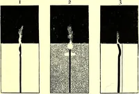 Picture 165 of 246 from Spectrum analysis in its application to terrestrial substances, and the physical constitution of the heavenly bodies / familiarly explained by H. Schellen ; translated from the second enlarged and revised German edition by Jane and Caroline Lassell ; edited with notes by William Huggins ; with numerous woodcuts and coloured plates, and Ångström's and Kirchhoff's maps. (1872), leaf 497