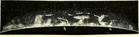 Picture 171 of 246 from Spectrum analysis in its application to terrestrial substances, and the physical constitution of the heavenly bodies / familiarly explained by H. Schellen ; translated from the second enlarged and revised German edition by Jane and Caroline Lassell ; edited with notes by William Huggins ; with numerous woodcuts and coloured plates, and Ångström's and Kirchhoff's maps. (1872), leaf 501
