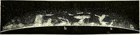 Picture 173 of 246 from Spectrum analysis in its application to terrestrial substances, and the physical constitution of the heavenly bodies / familiarly explained by H. Schellen ; translated from the second enlarged and revised German edition by Jane and Caroline Lassell ; edited with notes by William Huggins ; with numerous woodcuts and coloured plates, and Ångström's and Kirchhoff's maps. (1872), leaf 501