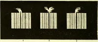 Picture 178 of 246 from Spectrum analysis in its application to terrestrial substances, and the physical constitution of the heavenly bodies / familiarly explained by H. Schellen ; translated from the second enlarged and revised German edition by Jane and Caroline Lassell ; edited with notes by William Huggins ; with numerous woodcuts and coloured plates, and Ångström's and Kirchhoff's maps. (1872), leaf 520