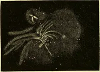 Picture 204 of 246 from Spectrum analysis in its application to terrestrial substances, and the physical constitution of the heavenly bodies / familiarly explained by H. Schellen ; translated from the second enlarged and revised German edition by Jane and Caroline Lassell ; edited with notes by William Huggins ; with numerous woodcuts and coloured plates, and Ångström's and Kirchhoff's maps. (1872), leaf 598